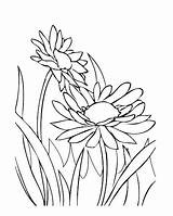Kleurplaten Kleurplaat Voorjaarsbloemen – sketch template