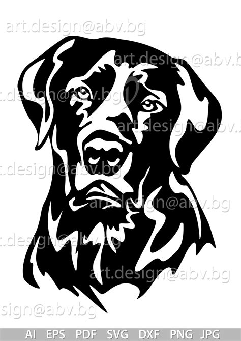 Vector DOG Labrador Retriever AI Eps Pdf Svg Dxf Png - Etsy Canada | Labrador art, Labrador ...