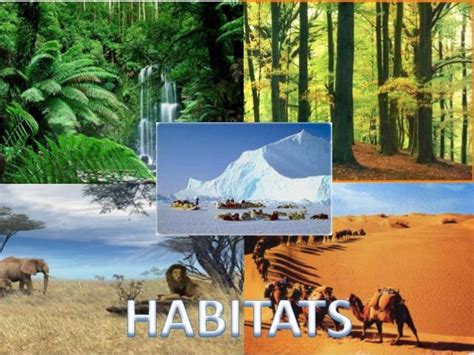 Habitats 2