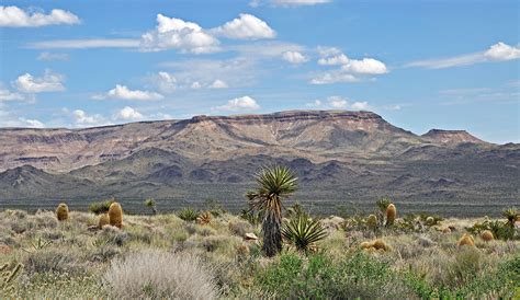 The Term Used to Describe Semiarid Grasslands Is Geography