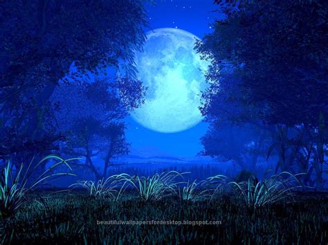 Beautiful Wallpapers for Desktop: Beautiful Night of Sky Wallpapers