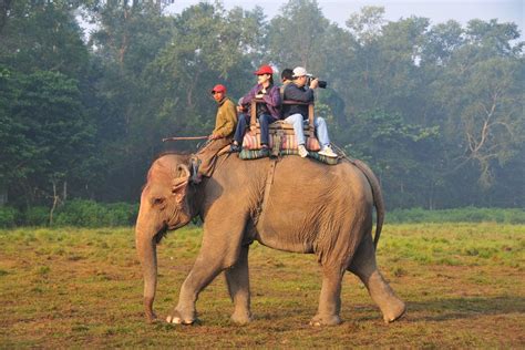 Pokhara to Chitwan National Park in Just 20 Minutes