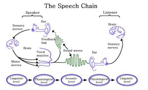 One Finger Typing: Linguistics, semantics, pragmatics: words, meaning, and wacky translations