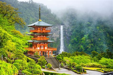 Reborn In Kumano – Metropolis Magazine