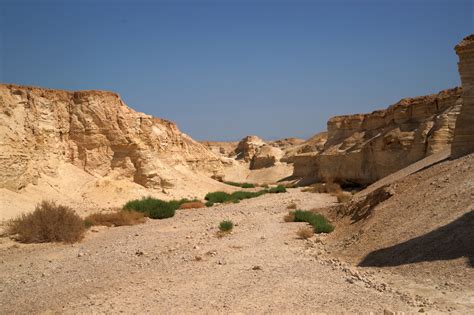 Tour to Israel 9 days + Desert « Terra Dei, your agency