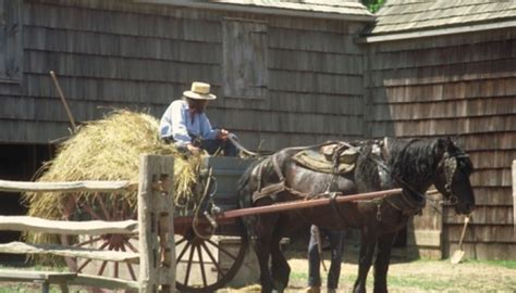 Amish Farming Tools | Garden Guides