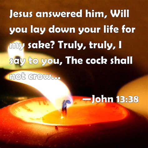 John 13:38 Jesus answered him, Will you lay down your life for my sake? Truly, truly, I say to ...