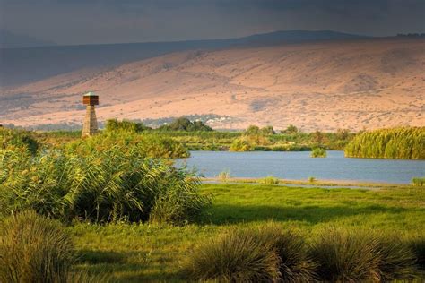 Hula Nature Reserve - Israel Nature and Parks Authority