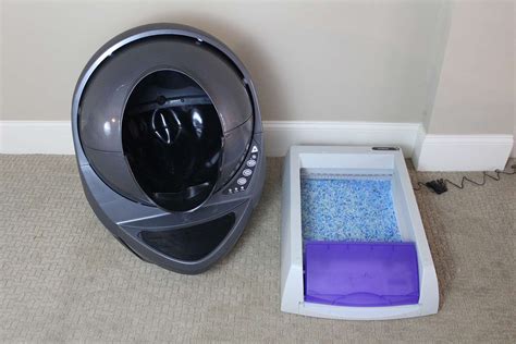 PetSafe ScoopFree Ultra Litter Box Review: Wishful Thinking