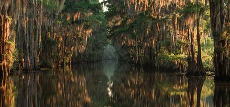 Gotta Get Away? Caddo Lake | Postcards Magazine