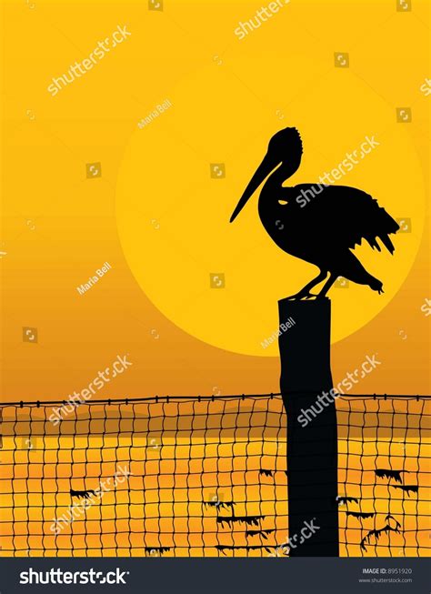 Black Silhouette Pelican Against Sunrisesunset Stock Vector (Royalty ...