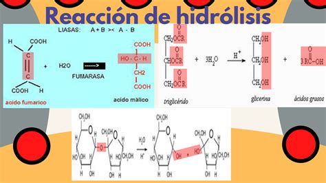 Hidrolisis