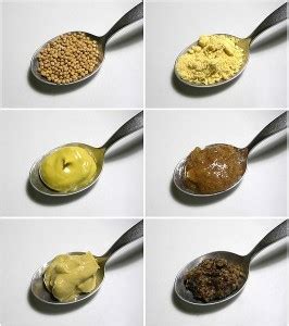 Mustard Allergy Symptoms - Mustard Allergy Treatment, Mustard Allergy