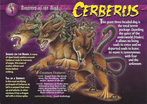 Cerberus | Greek mythological creatures, Mythological creatures, Mythical monsters