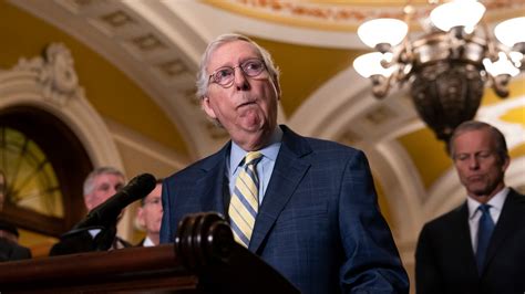 Mitch McConnell to Republicans on Midterms: I Told You These Weirdos ...