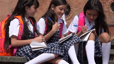 Student Studying Wearing School Uniforms Stock Image - Image of college ...