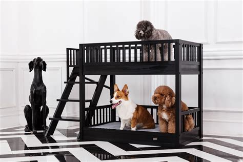 Aspen Pet Bunk Bed with Memory Foam Cushions in Espresso - Walmart.com