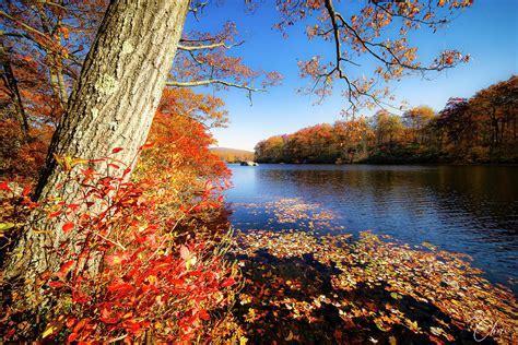 Fall Foliage at Lake Kanawauke Photograph by Cheri Freeman - Fine Art America