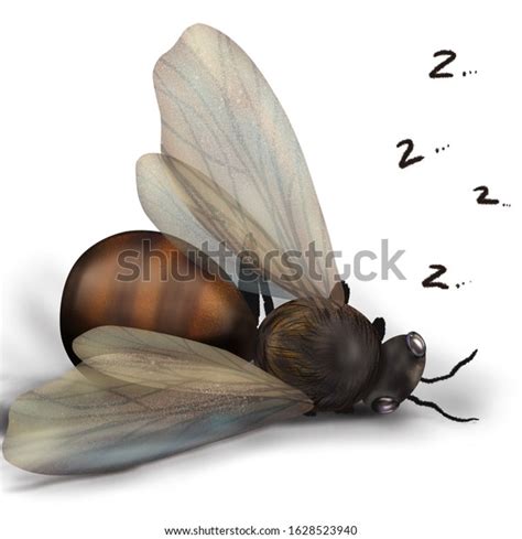 Sketch Art Illustration Cartoon Characters Fly Stock Illustration 1628523940 | Shutterstock