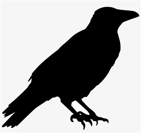 Crow Silhouette PNG Image | Transparent PNG Free Download on SeekPNG