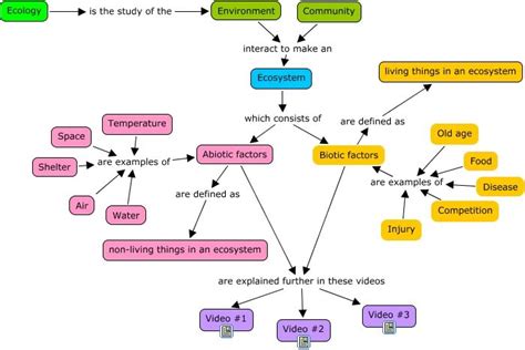 Ecosystem concept map | Concept map, Ecosystems, Middle school science lab