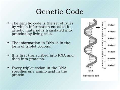 Genetic code