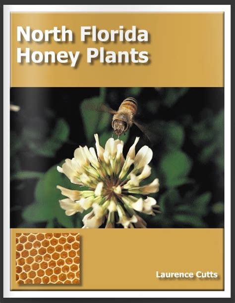 North Florida Honey Plants