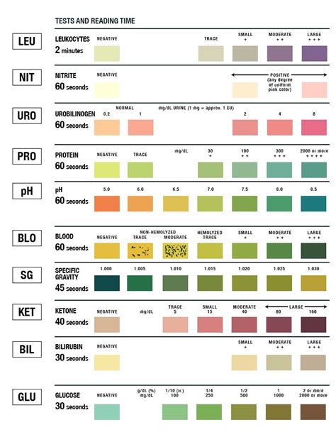 Urinalysis Test Strip Color Chart | Medical lab technician, Medical laboratory technician ...