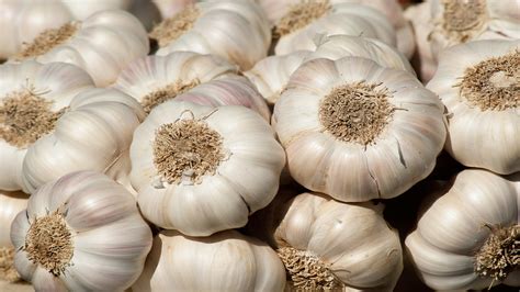 How to Store Fresh Garlic For 6 Months