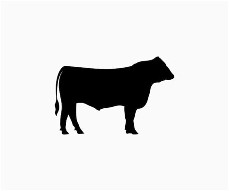 Premium Vector | Angus cow silhouette vector angus decree cattle bull cow intimidate art artwork ...