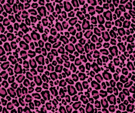 Pink Leopard Wallpapers - Top Free Pink Leopard Backgrounds ...