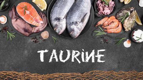 Top 10 Foods Highest in Taurine – Pop Listicle