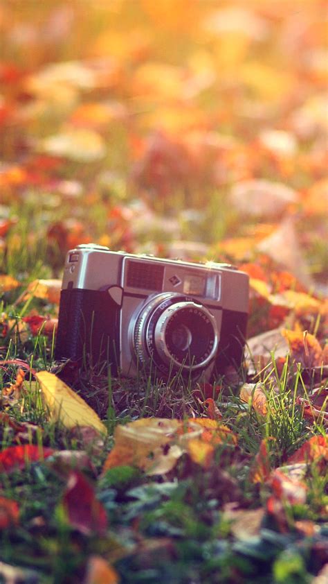 Vintage Camera Wallpaper for iPhone X, 8, 7, 6 - Free Download on 3Wallpapers