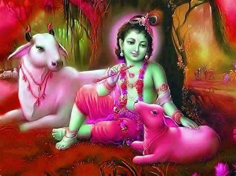 Lord Baby Krishna With Cow Images - All About Cow Photos