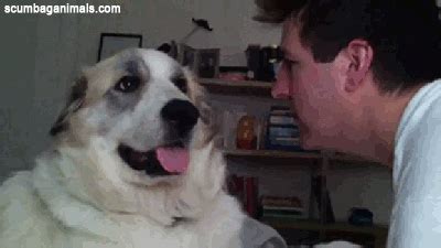 Smack GIFs - Find & Share on GIPHY