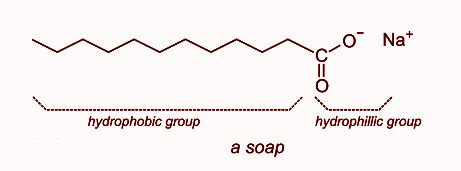 Soap Molecule Structure