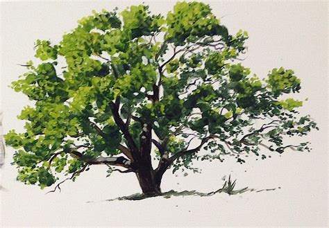 Learn how to paint an oak tree in summer in #acrylics with Jon Cox as part of our #landscapes ...