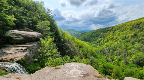 Catskills | The Nature Seeker