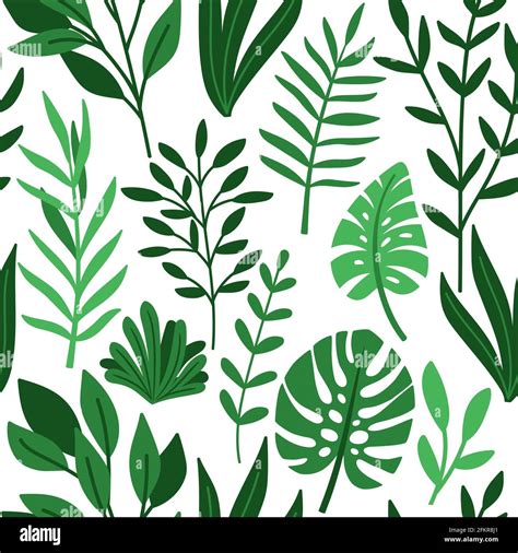 Tropic palm green leaves drawing pattern. Tropical seamless background ...