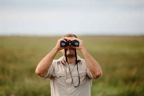 14 Actionable Bird Watching Tips for Beginners (and a few for everyone ...