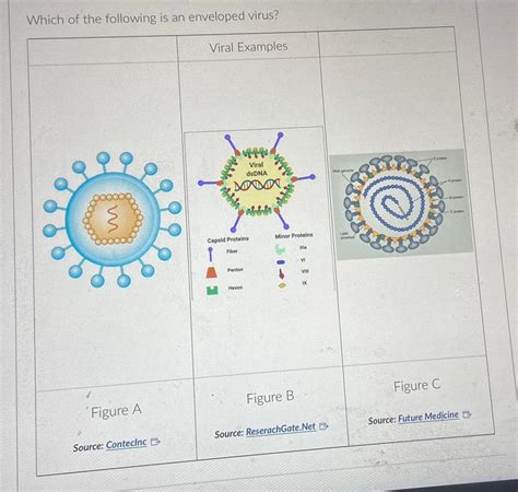 [ANSWERED] Which of the following is an enveloped virus Viral Examples - Kunduz