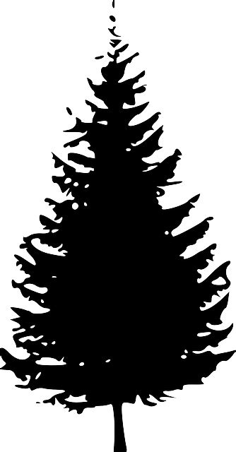 Free vector graphic: Silhouette, Christmas Tree, Pine - Free Image on ...