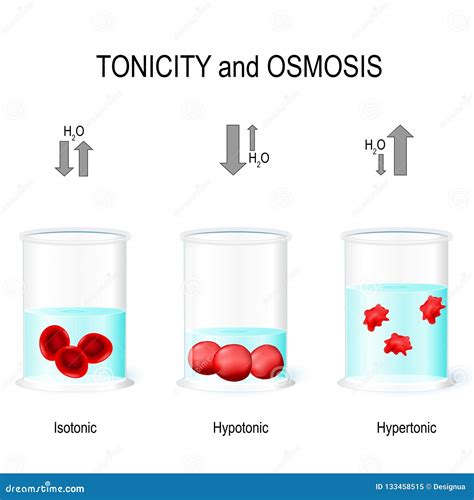 Isotonic, Hypotonic and Hypertonic Solutions Effects on Animal C Stock ...