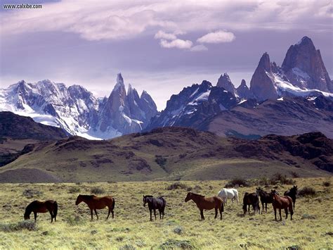 Nature: Andes Mountains Patagonia Argentina, desktop wallpaper nr. 11542