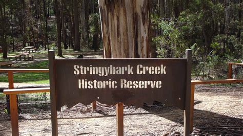 Stringybark Creek Historical Reserve Walk - Victoria's High Country