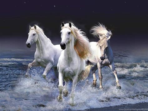 30 Seven Horses Wallpaper Gif. Download hd wallpapers for free on unsplash. Tons of awesome ...