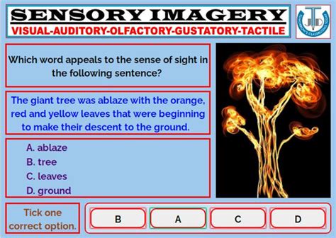 SENSORY IMAGERY: WORKSHEETS WITH ANSWERS | Teaching Resources