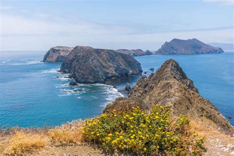 Channel Islands Hiking Guide: 6 Pristine Hikes in Channel Islands National Park - California ...