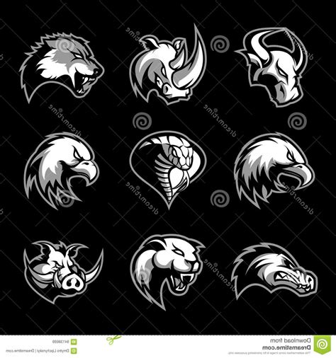 Gator Head Vector at Vectorified.com | Collection of Gator Head Vector ...