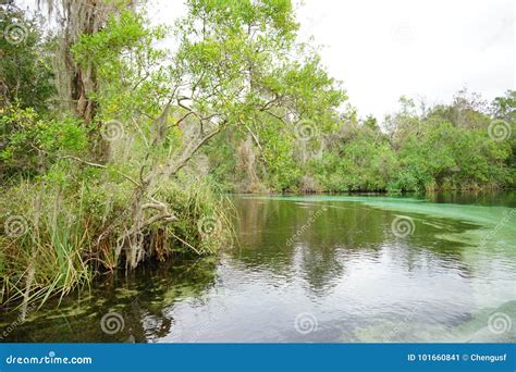 Weeki Wachee Springs State Park Stock Image - Image of attractive ...